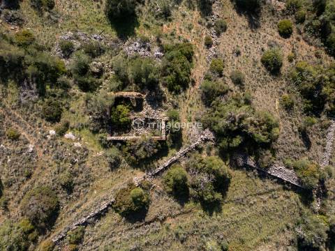 Terreno Misto  Venda em Algoz e Tunes,Silves