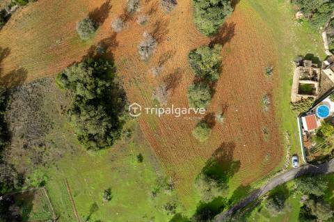 Terreno Misto de com Ruínas - Albufeira
