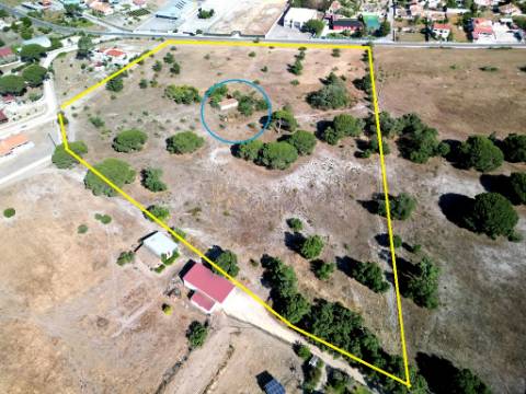 Quinta com 40.000m2 em Olhos de Água, Palmela