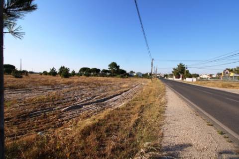 Quinta com 40.000m2 em Olhos de Água, Palmela