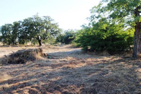 Quinta com 40.000m2 em Olhos de Água, Palmela