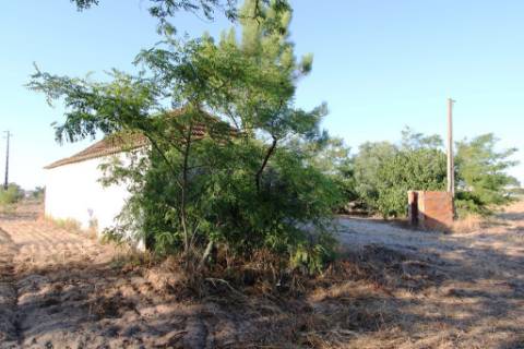 Quinta com 40.000m2 em Olhos de Água, Palmela