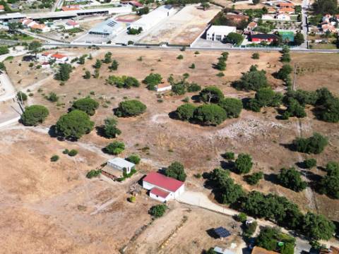 Quinta com 40.000m2 em Olhos de Água, Palmela
