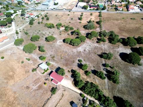 Quinta com 40.000m2 em Olhos de Água, Palmela