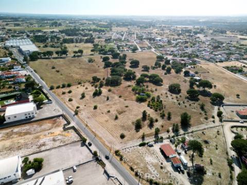 Quinta com 40.000m2 em Olhos de Água, Palmela