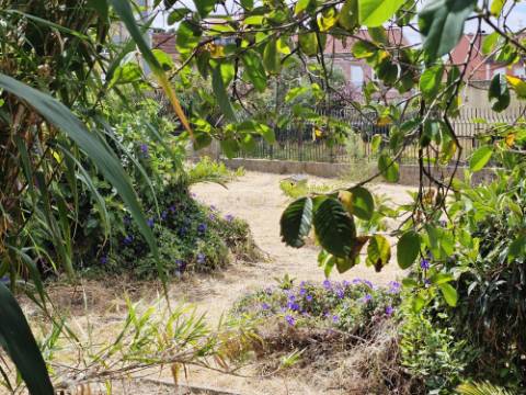 Terreno com 2000m2, junto Universidades, na Ajuda, Lisboa
