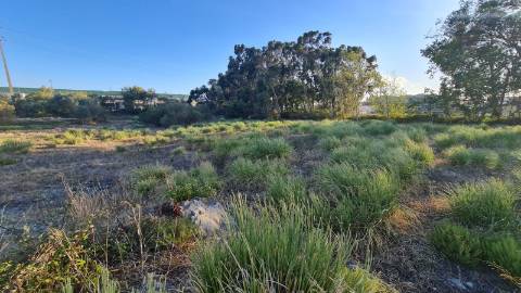 Lote de terreno para construção com 14.885m2, frente estrada principal, na Quinta da Beloura, Sintra