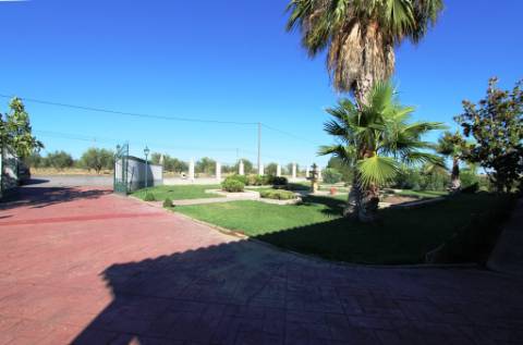 Quinta com moradia térrea T4, piscina com jardim, garagem e vinhas, em Campo Maior
