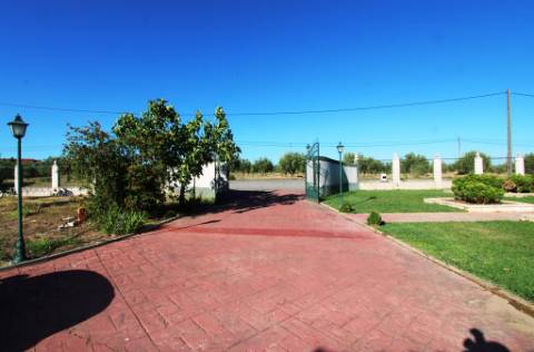 Quinta com moradia térrea T4, piscina com jardim, garagem e vinhas, em Campo Maior