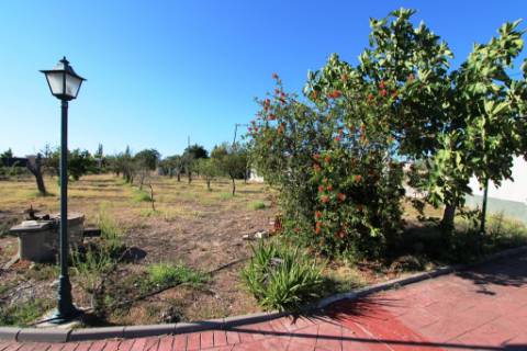 Quinta com moradia térrea T4, piscina com jardim, garagem e vinhas, em Campo Maior