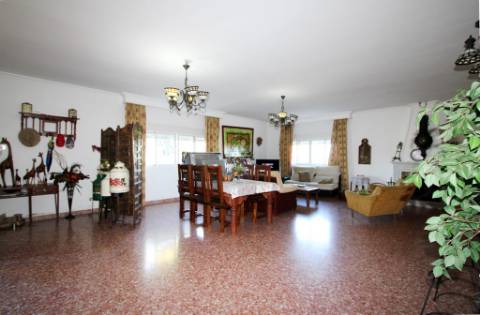 Quinta com moradia térrea T4, piscina com jardim, garagem e vinhas, em Campo Maior
