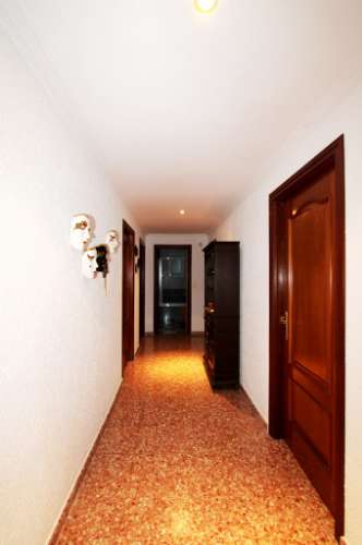 Quinta com moradia térrea T4, piscina com jardim, garagem e vinhas, em Campo Maior
