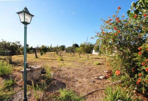 Quinta com moradia térrea T4, piscina com jardim, garagem e vinhas, em Campo Maior