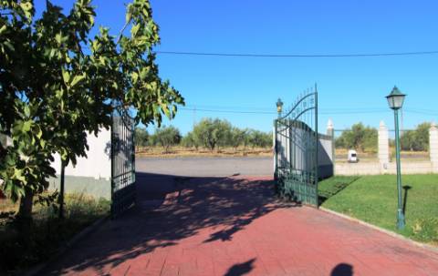 Quinta com moradia térrea T4, piscina com jardim, garagem e vinhas, em Campo Maior