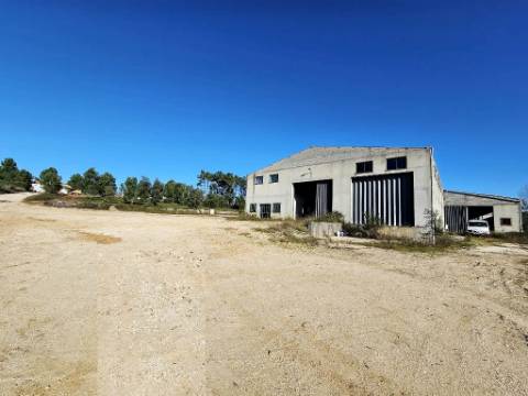 Lote de terreno de 60841m2 com armazém de 1200m2, em Pelariga, Pombal, Leiria