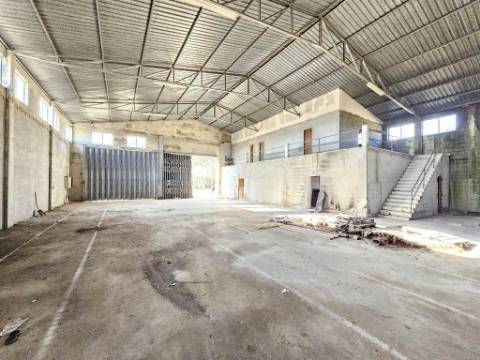 Lote de terreno de 60841m2 com armazém de 1200m2, em Pelariga, Pombal, Leiria