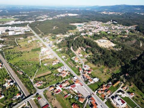 Lote de terreno de 60841m2 com armazém de 1200m2, em Pelariga, Pombal, Leiria