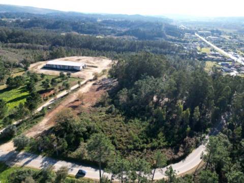 Lote de terreno de 60841m2 com armazém de 1200m2, em Pelariga, Pombal, Leiria