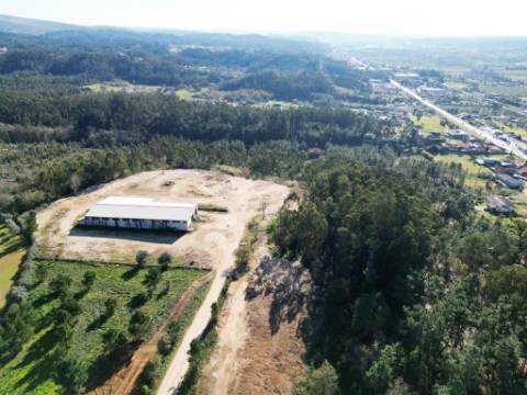 Lote de terreno de 60841m2 com armazém de 1200m2, em Pelariga, Pombal, Leiria