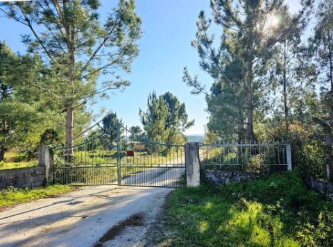 Lote de terreno de 60841m2 com armazém de 1200m2, em Pelariga, Pombal, Leiria