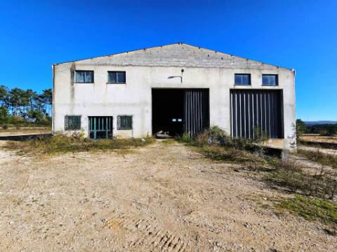 Lote de terreno de 60841m2 com armazém de 1200m2, em Pelariga, Pombal, Leiria