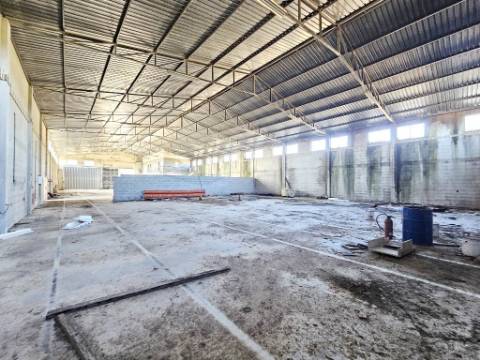 Lote de terreno de 60841m2 com armazém de 1200m2, em Pelariga, Pombal, Leiria