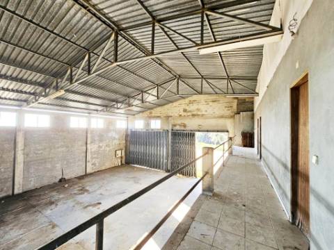 Lote de terreno de 60841m2 com armazém de 1200m2, em Pelariga, Pombal, Leiria