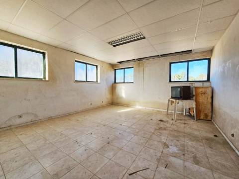 Lote de terreno de 60841m2 com armazém de 1200m2, em Pelariga, Pombal, Leiria