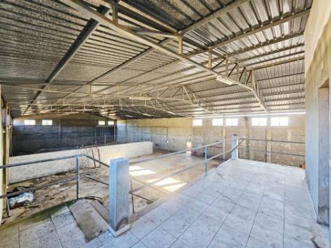 Lote de terreno de 60841m2 com armazém de 1200m2, em Pelariga, Pombal, Leiria