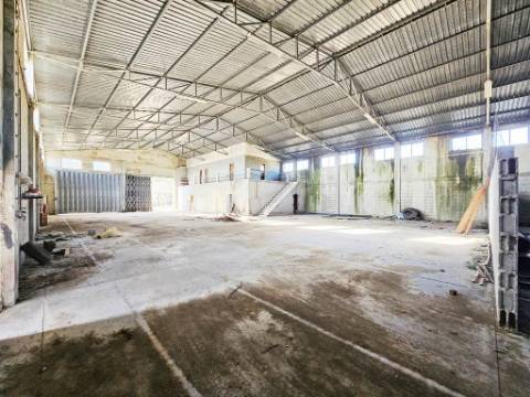 Lote de terreno de 60841m2 com armazém de 1200m2, em Pelariga, Pombal, Leiria