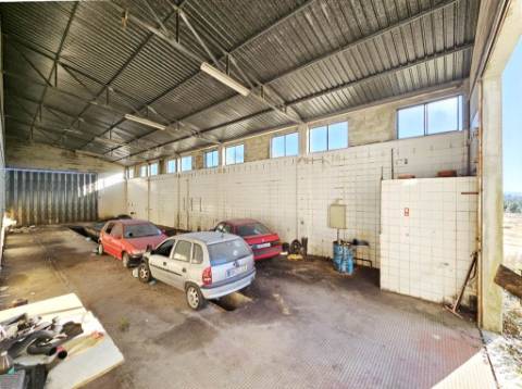 Lote de terreno de 60841m2 com armazém de 1200m2, em Pelariga, Pombal, Leiria