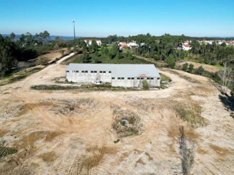 Lote de terreno de 60841m2 com armazém de 1200m2, em Pelariga, Pombal, Leiria