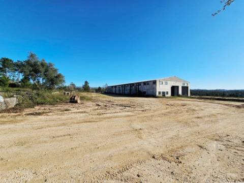 Lote de terreno de 60841m2 com armazém de 1200m2, em Pelariga, Pombal, Leiria