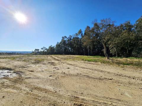 Lote de terreno de 60841m2 com armazém de 1200m2, em Pelariga, Pombal, Leiria