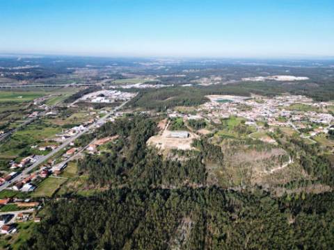 Armazém de 1200m2 em lote de 60841m2, em Pelariga, Pombal, Leiria