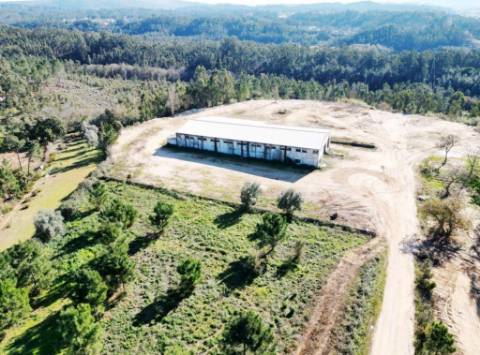 Armazém de 1200m2 em lote de 60841m2, em Pelariga, Pombal, Leiria