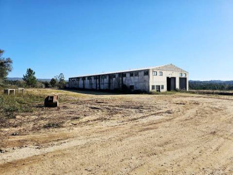 Armazém de 1200m2 em lote de 60841m2, em Pelariga, Pombal, Leiria