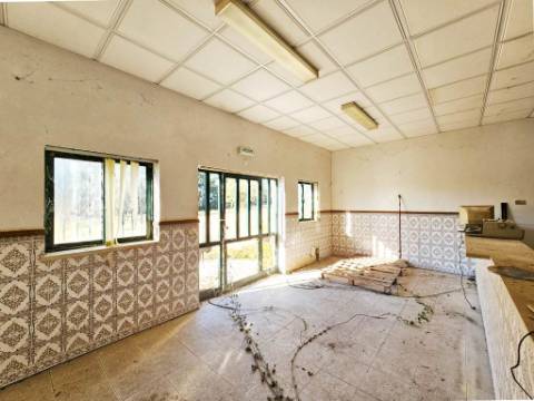 Armazém de 1200m2 em lote de 60841m2, em Pelariga, Pombal, Leiria