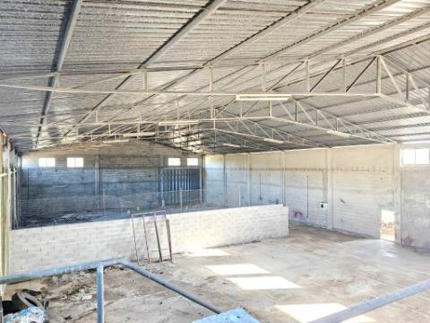 Armazém de 1200m2 em lote de 60841m2, em Pelariga, Pombal, Leiria