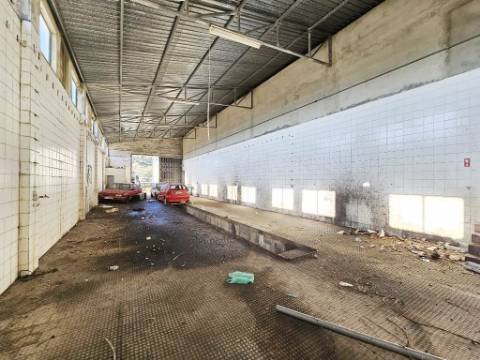Armazém de 1200m2 em lote de 60841m2, em Pelariga, Pombal, Leiria