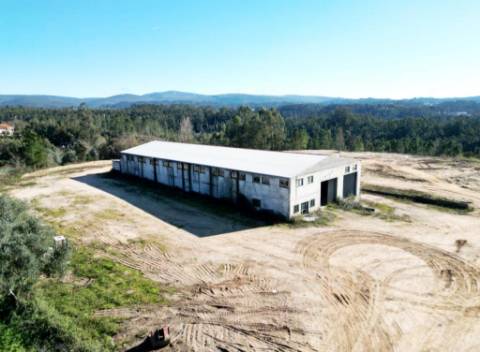 Armazém de 1200m2 em lote de 60841m2, em Pelariga, Pombal, Leiria
