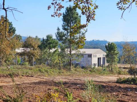 Armazém de 1200m2 em lote de 60841m2, em Pelariga, Pombal, Leiria
