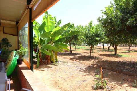 Quinta T4 com piscina, em Luz de Tavira, Algarve
