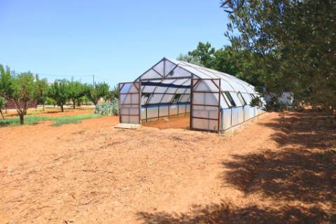 Quinta T4 com piscina, em Luz de Tavira, Algarve