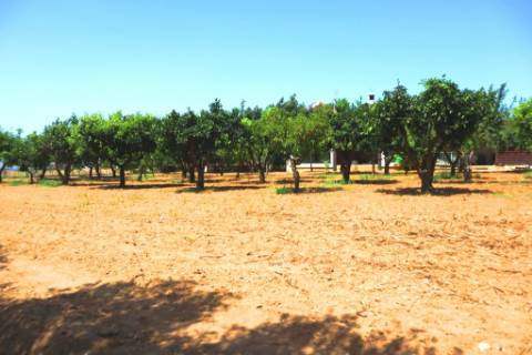 Quinta T4 com piscina, em Luz de Tavira, Algarve