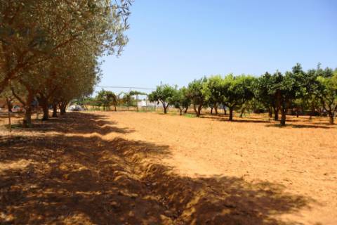 Quinta T4 com piscina, em Luz de Tavira, Algarve