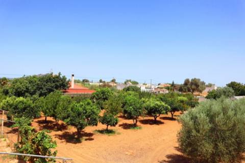 Quinta T4 com piscina, em Luz de Tavira, Algarve