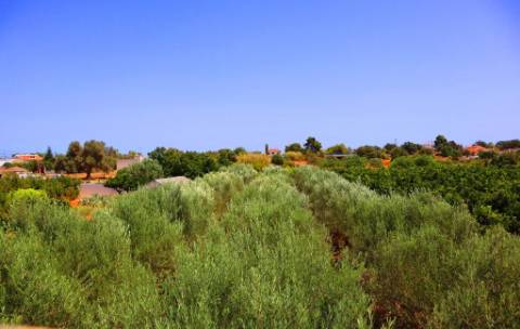 Quinta T4 com piscina, em Luz de Tavira, Algarve