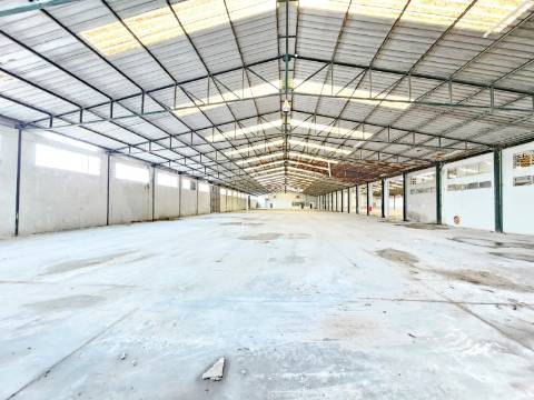 Armazém Industrial com 12.000m2, em Torres Novas, Santarém