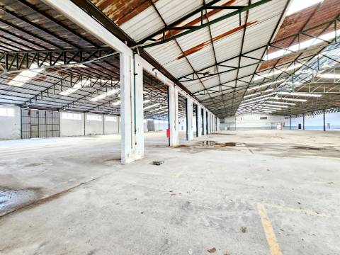 Armazém Industrial com 12.000m2, em Torres Novas, Santarém